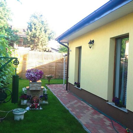 Casuta Bunicilor Villa Bucureşti Ngoại thất bức ảnh